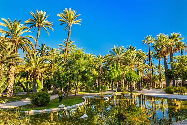 Stadswandeling Elche