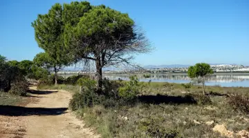 Salina de La Mata